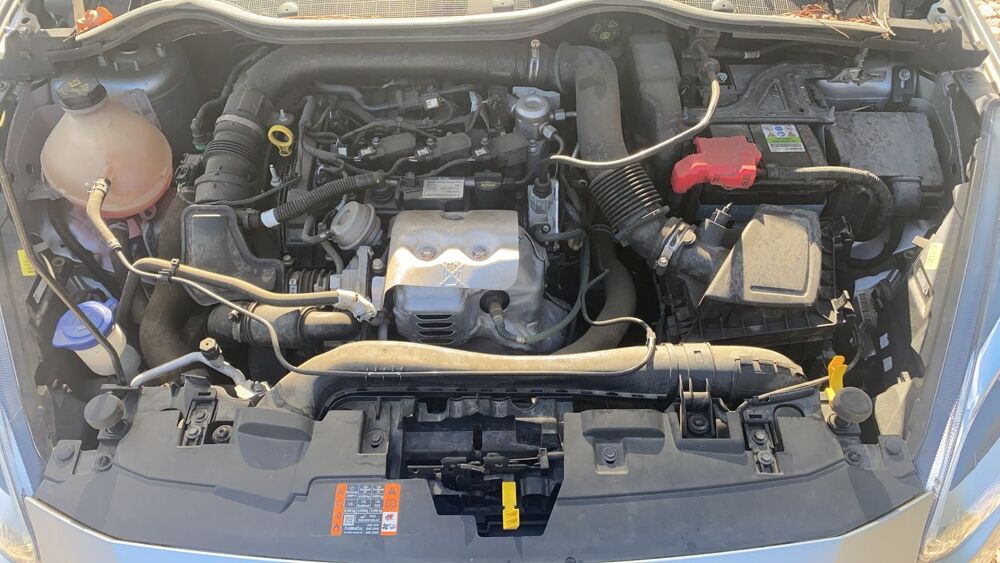 Fiesta 1.0 Ecoboost 100 Titanium 2019 occasion 11220 Saint Laurent De La Cabrerisse
