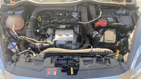 Fiesta 1.0 Ecoboost 100 Titanium 2019 occasion 11220 Saint Laurent De La Cabrerisse