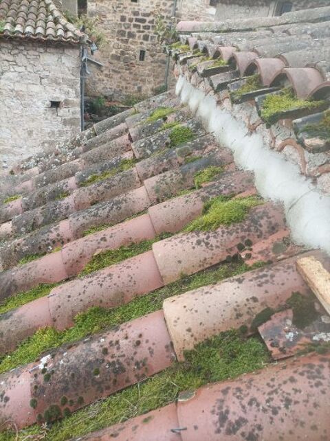  Maison  louer 2 pices 40 m