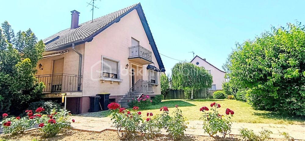 Vente Maison Grande maison individuelle sur 1000 m2 de terrain cloturé Battenheim