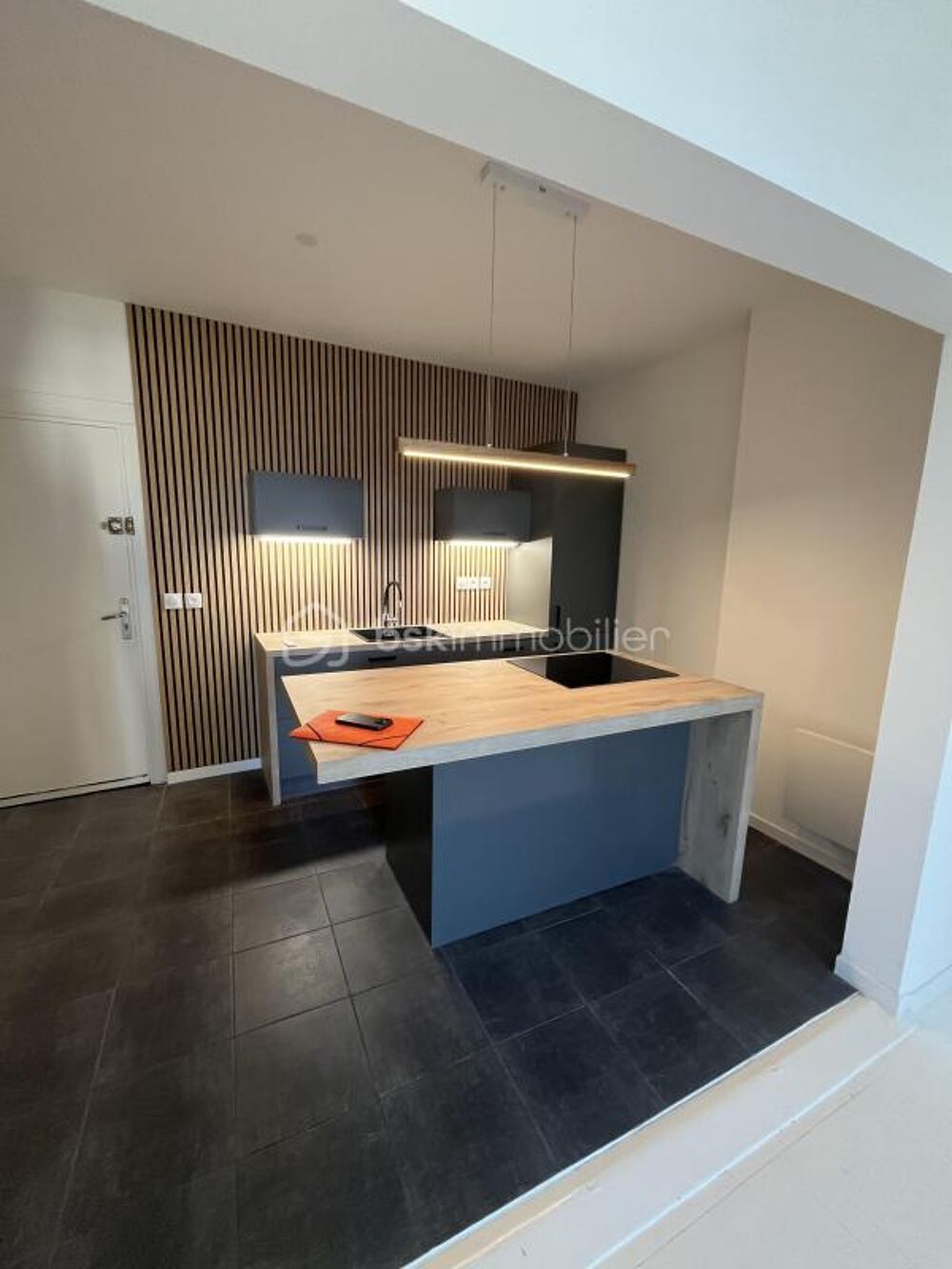 Appartement T2 de 80 m² utiles dont 54 m² en loi carrez et cave