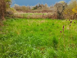  Remise / Grange � vendre 1 pi�ce 24 m�