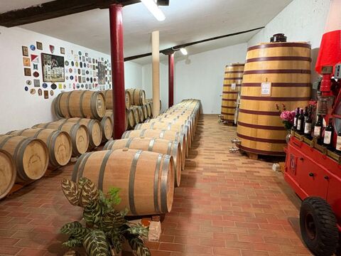   OPPORTUNITÉ EXCEPTIONNELLE, DOMANINE VITICOLE À POMEROL 