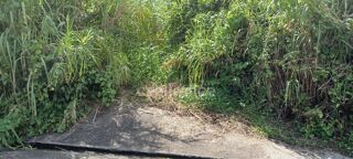  Terrain � vendre 5303 m�