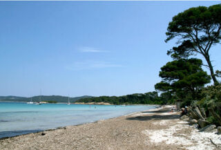  Appartement � vendre 2 pi�ces 40 m�