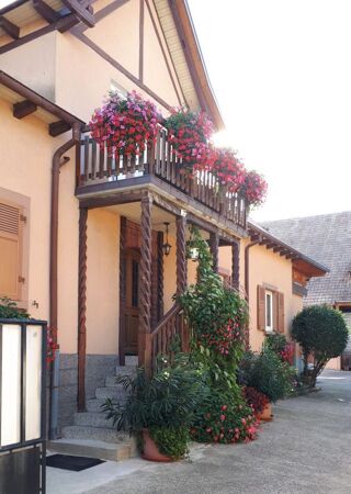  Appartement � louer 6 pi�ces 260 m�