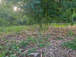  Terrain � vendre 1043 m�