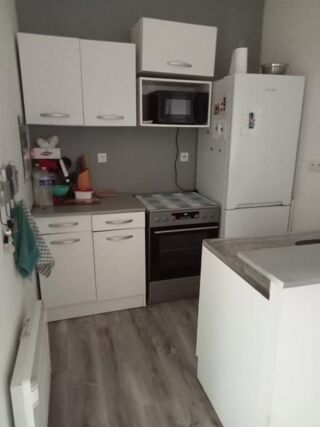  Appartement à louer 3 pièces 50 m²