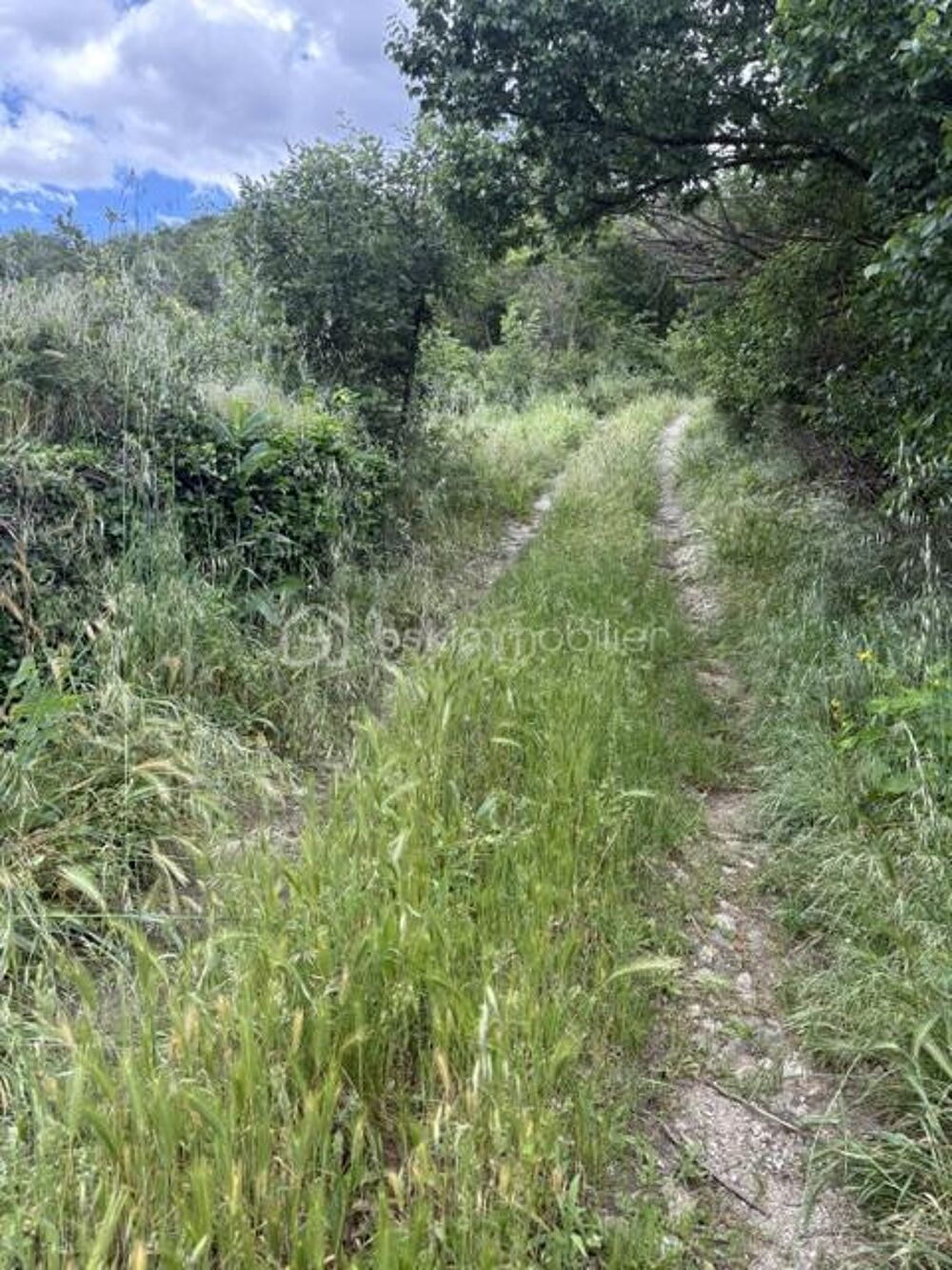 Vente Terrain Terrain 4607 m2 eau et électricité Marquixanes