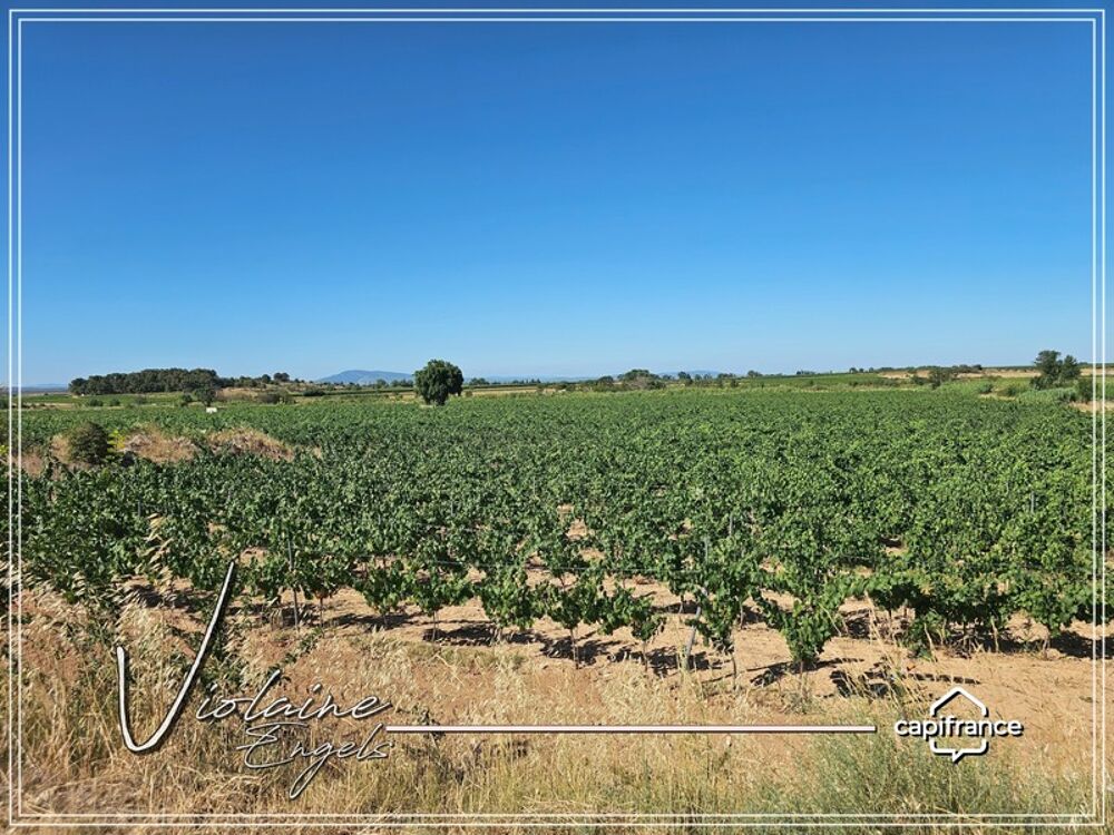 � vendre  Propri�t�/ch�teau Cesseras (34210)