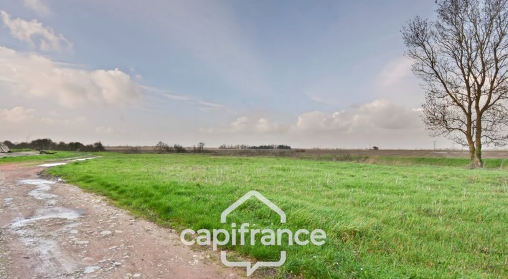 Ensemble Immobilier à vendre NUAILLE D'AUNIS (17) à vendre NUAILLE D'AUNIS, ensemble immobilier d'une surface de 591,64 m2, le t