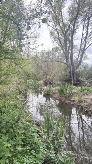  Terrain � vendre 5539 m�