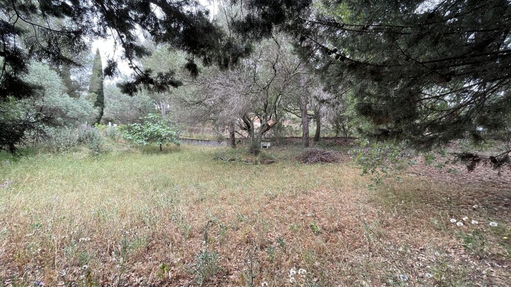 Vente Terrain Terrain Carqueiranne