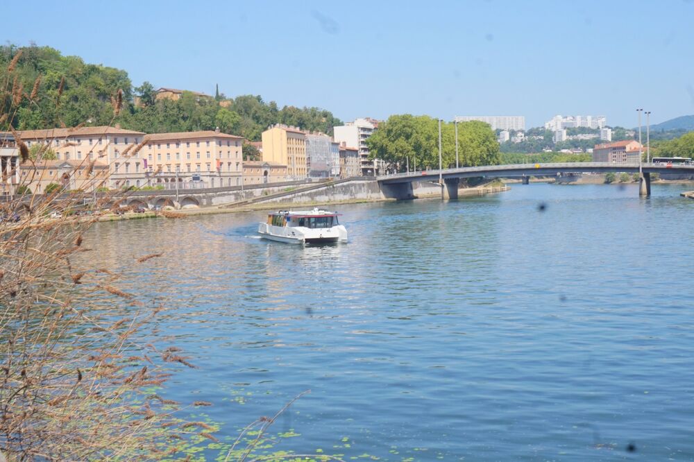 Vente Appartement Appartement à vendre 2 pièces LYON 9EME ARRONDISSEMENT (69) - Quai de Scize - Front de Saone Lyon 9