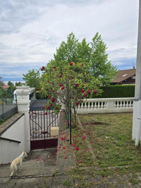  Appartement � louer 2 pi�ces 51 m�