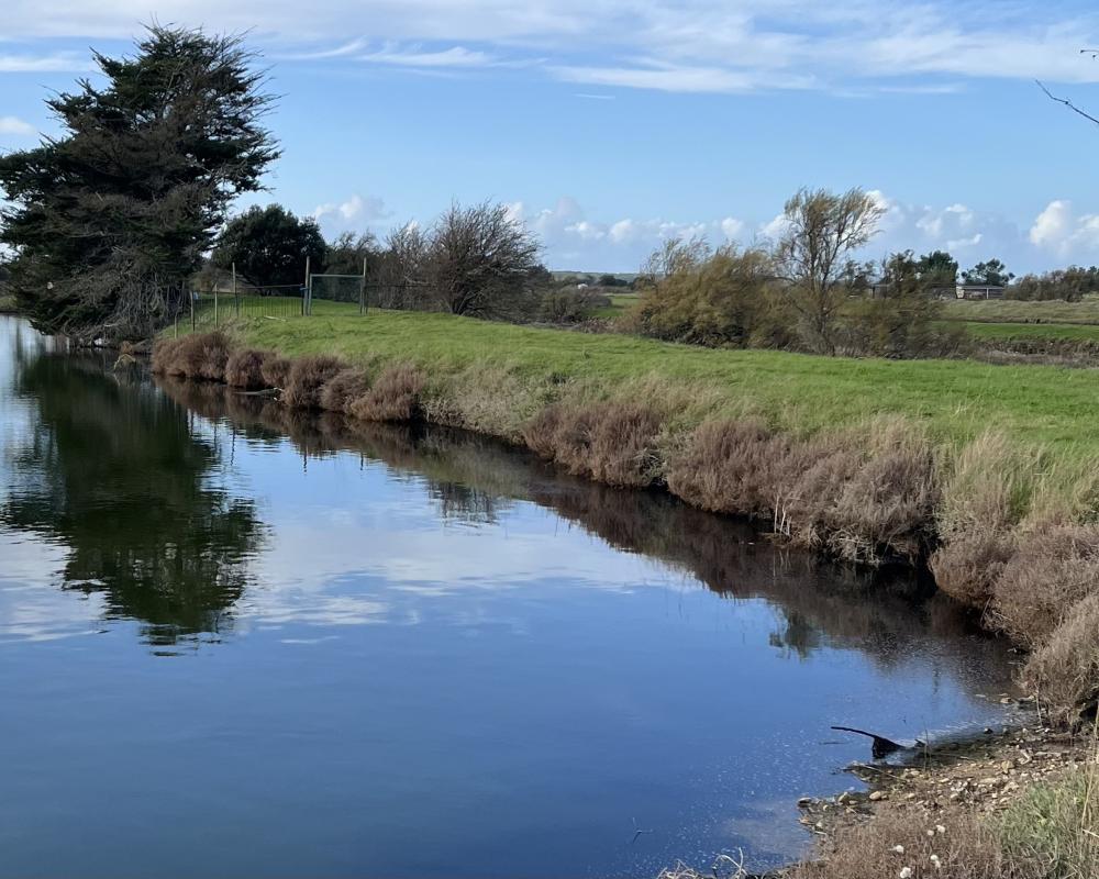 Vente Terrain Terrain L ile d olonne