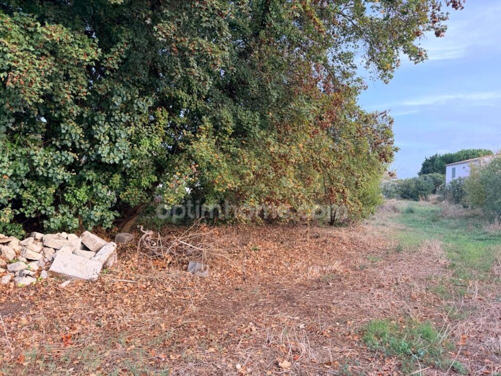 Vente Terrain Terrain à vendre  LE BOIS PLAGE EN RE (17) Le bois plage en re
