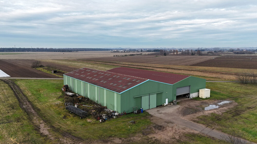 � vendre  Maison Strasbourg (67000)