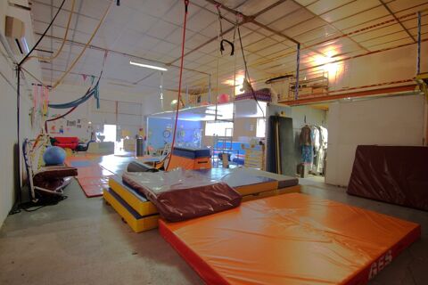 A vendre : Local/Entrep&ocirc;t de 220 m2 plus une maison de 90m2 TERRASSON LA VILLEDIEU (24) 171000 24120 Terrasson la villedieu