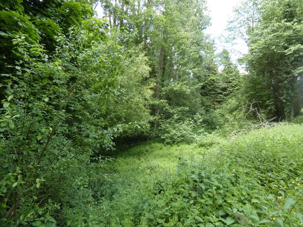 proche de ARGENTAN (61) propriété de 9078 m² de terrain