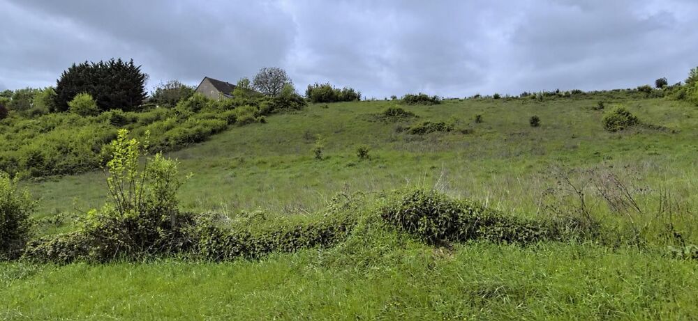 Vente Terrain 7646 m² - Vue 2