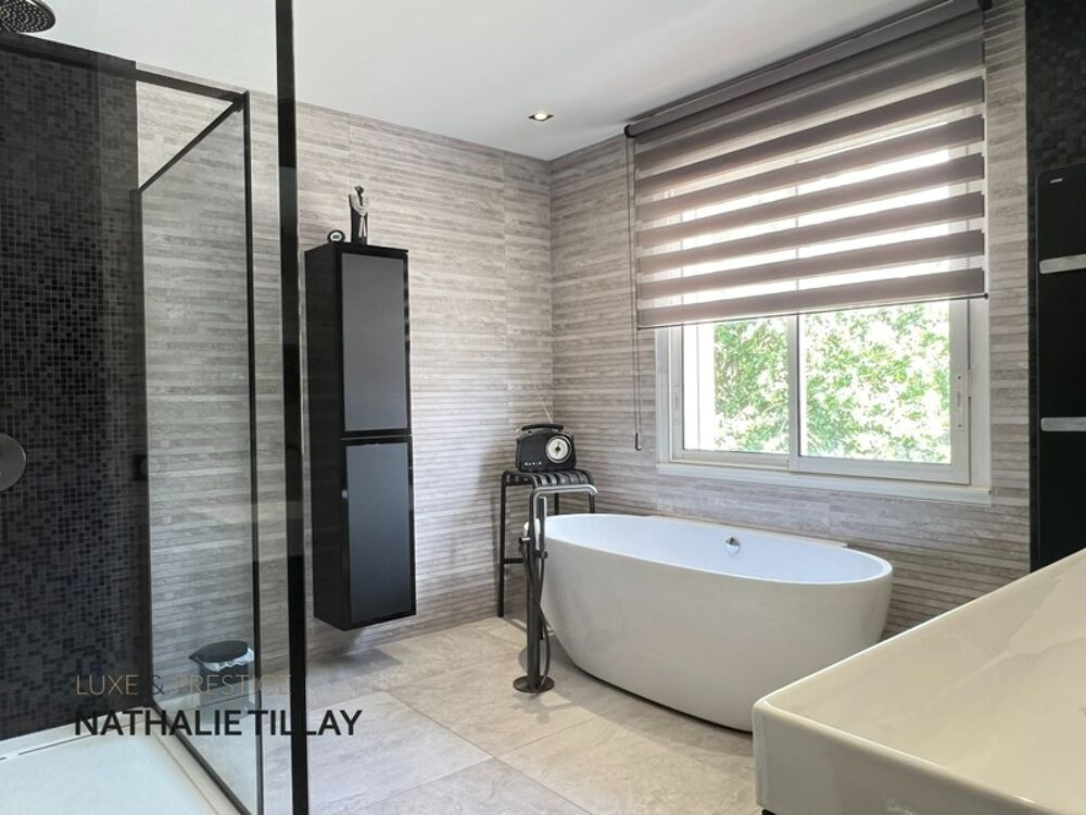  vendre  Maison Saint-Pryv-Saint-Mesmin (45750)