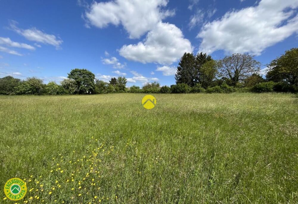 Vente Terrain Terrain constructible 3 065m² Chateauneuf sur cher