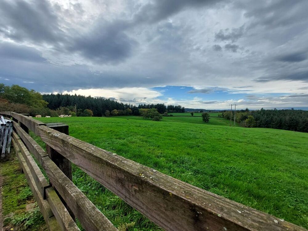 à vendre  Maison Saint-Martin-de-Salencey (71220)