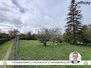  Terrain à vendre 1650 m²