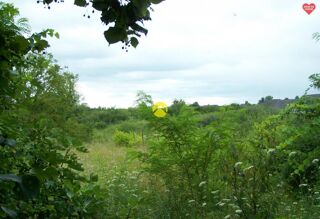  Terrain � vendre 4295 m�