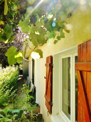  Maison � louer 2 pi�ces 35 m�