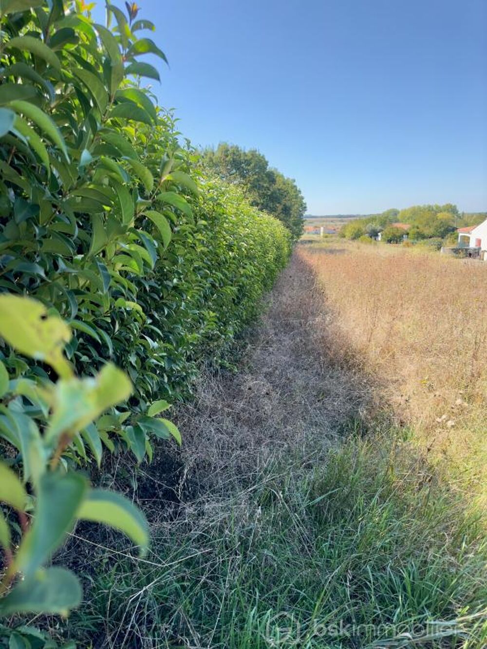 Vente Terrain TERRAIN CONSTRUCTIBLE NON VIABILISE Le gue de velluire