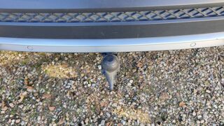 Tarraco 2.0 TDI 150 DSG7 Xcellence - 7 places Automatique 2019 occasion 86100 Chatellerault