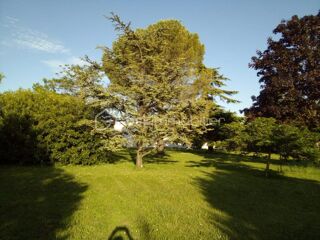  Terrain à vendre 417 m²