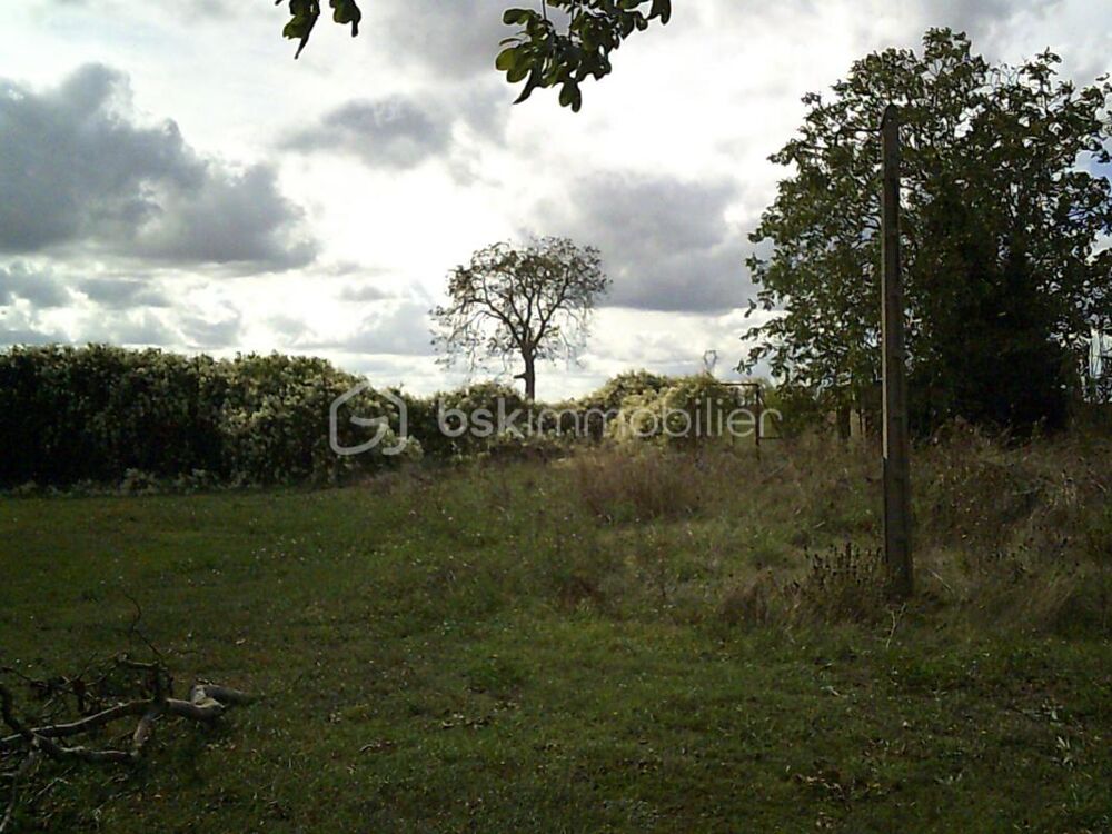 Vente Terrain 86380 Saint Martin La Pallu Terrain 685 m2 Vendeuvre du poitou