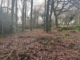  Terrain � vendre 1133 m�