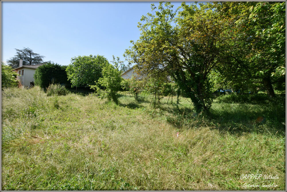 Maison avec grand terrain