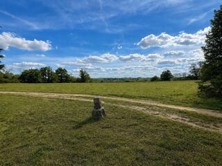  Propriété/château à vendre 12 pièces 231 m²