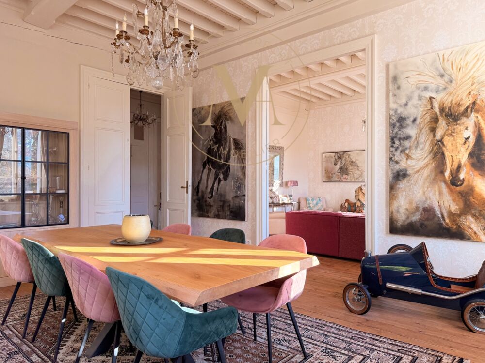 à vendre  Propriété/château Tournon-d'Agenais (47370)