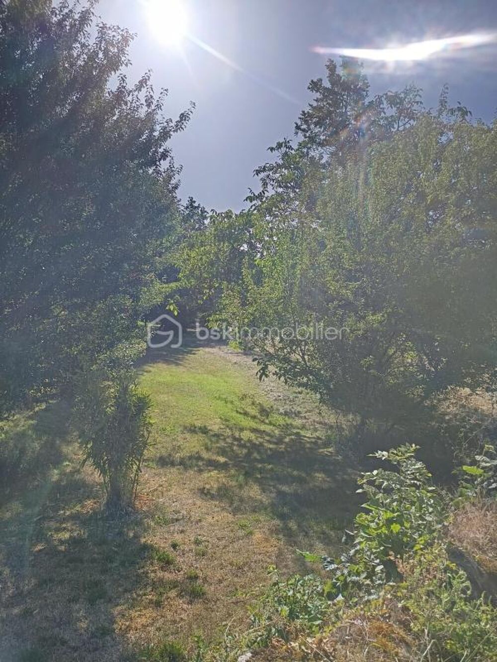 Vente Terrain ? Superbe terrain arboré de 4 190 m² (Divisible ou extensible jusqu'à 8 879 m²) – Tourtoirac Tourtoirac