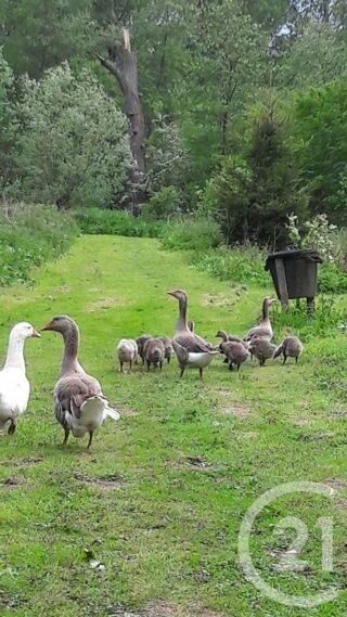  Terrain � vendre 16361 m�