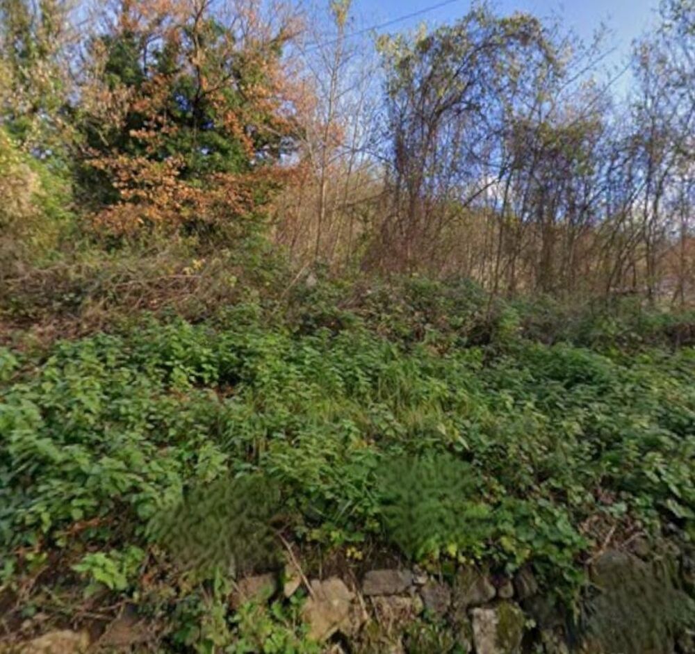 Vente Terrain Terrain à vendre de 1030  DIO ET VALQUIERES (34) Dio et valquieres