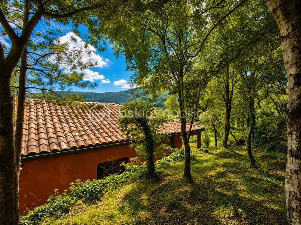 à vendre  Propriété/château Prémian (34390)