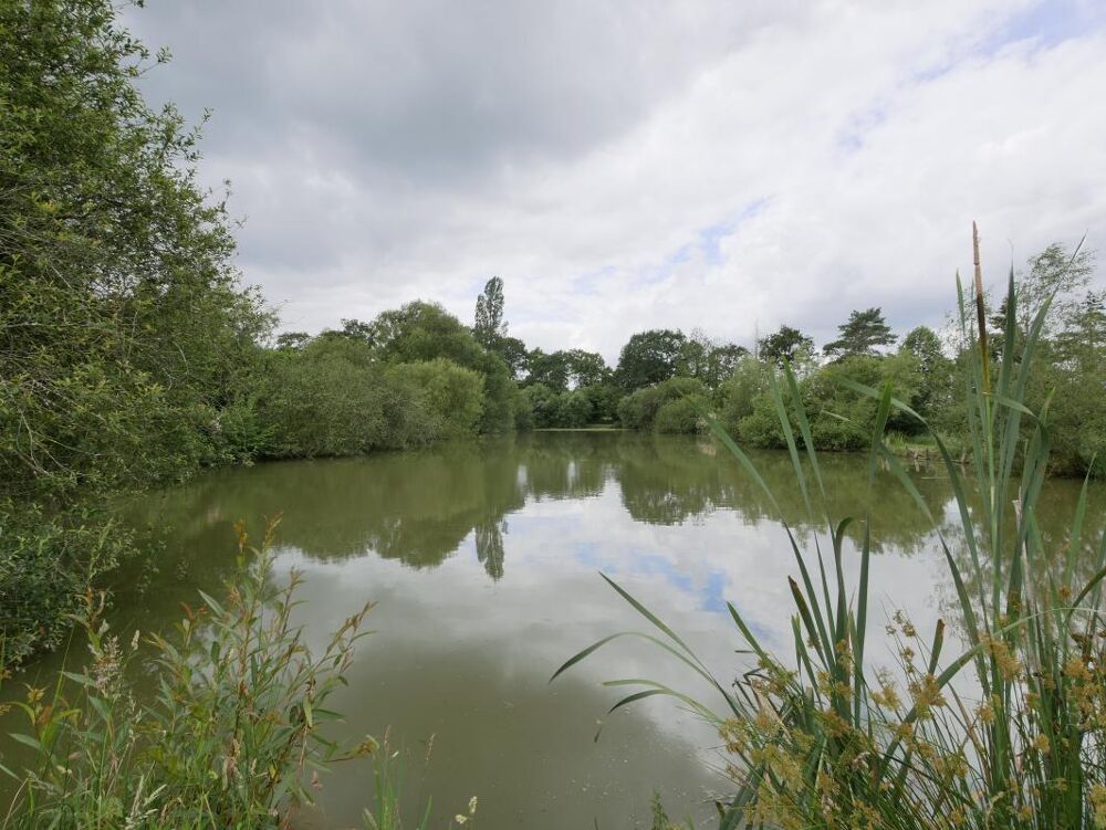 Vente Terrain Terrain Saint aubin d aubigne