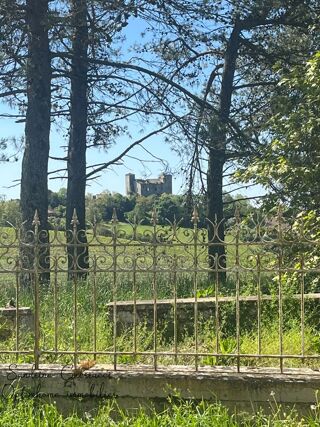  Propri�t�/ch�teau � vendre 6 pi�ces 151 m�