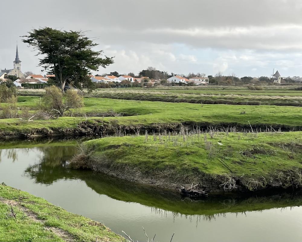 Vente Terrain Terrain L ile d olonne