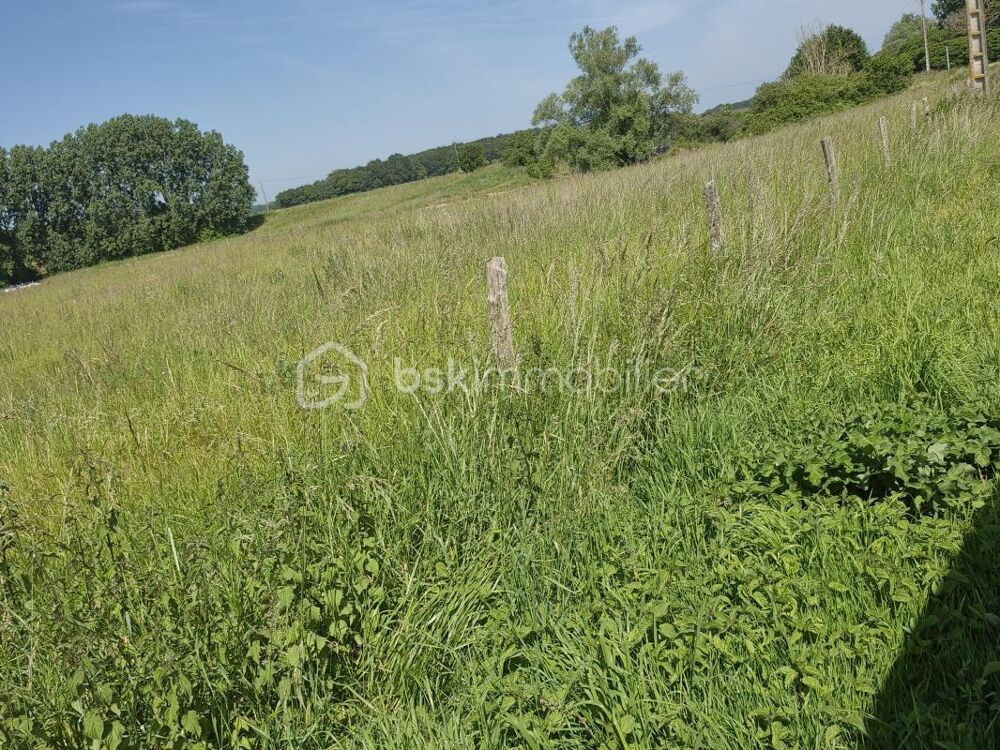 Longère à la campagne avec étang et 4 hectares