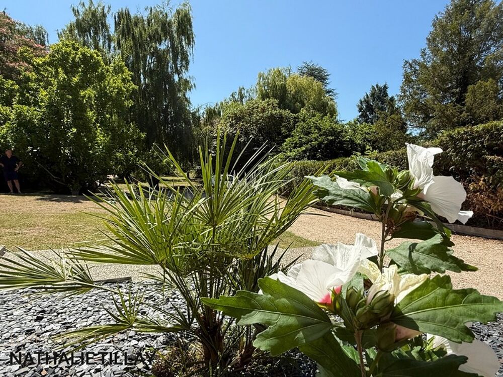  vendre  Maison La Chapelle-Saint-Mesmin (45380)