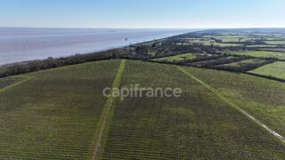  Propri�t�/ch�teau � vendre 12 pi�ces 1357 m�