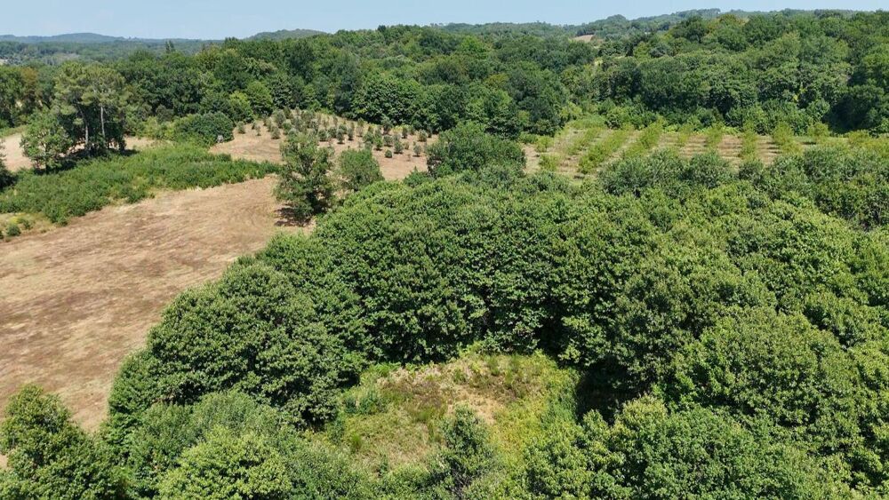Vente Terrain Terrain Prats De Carlux 4636 m2 Prats de carlux